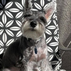 Meet your Posher, April